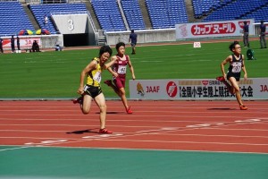 DSC00513